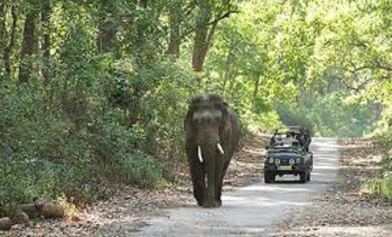 Corbett 4 Nights 5 Days