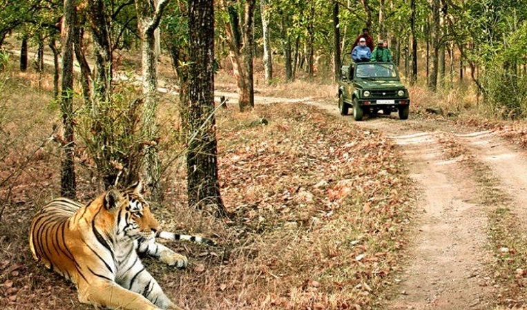 Corbett National Park