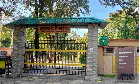Jim Corbett Budget Tour Package