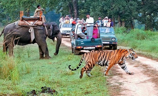 Jim Corbett Tour Booking