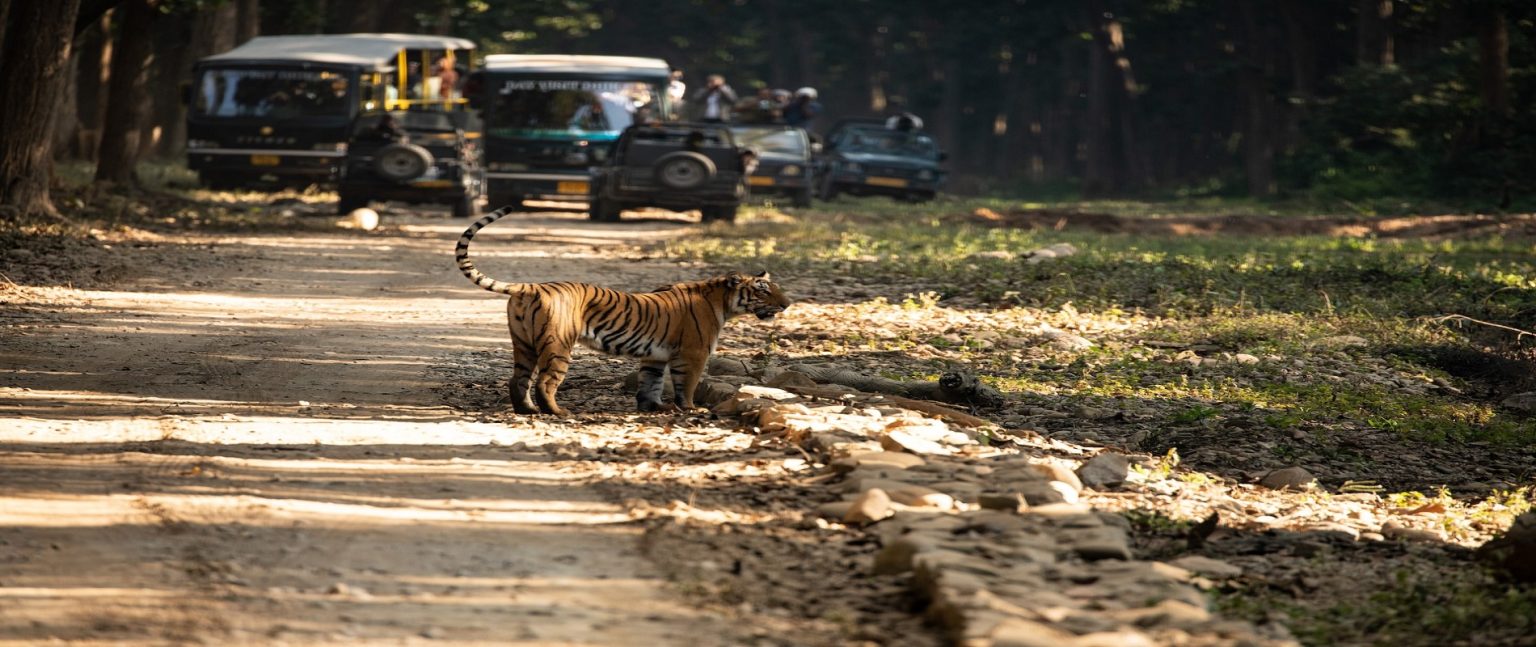 Jim Corbett Tour Package