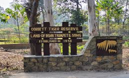 Nainital Corbett
