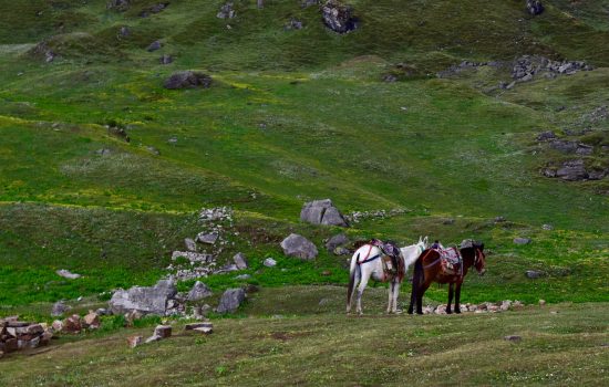 Uttarakhand Tour At Budget Price